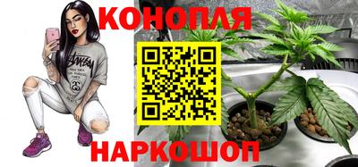 Альфа ПВП Изобильный